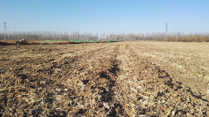 2.现场无建筑我院中标武清开发区四期工业项目土壤环境调查评估项目3.13.jpg 2.现场无建筑我院中标武清开发区四期工业项目土壤环境调查评估项目3.13.jpg